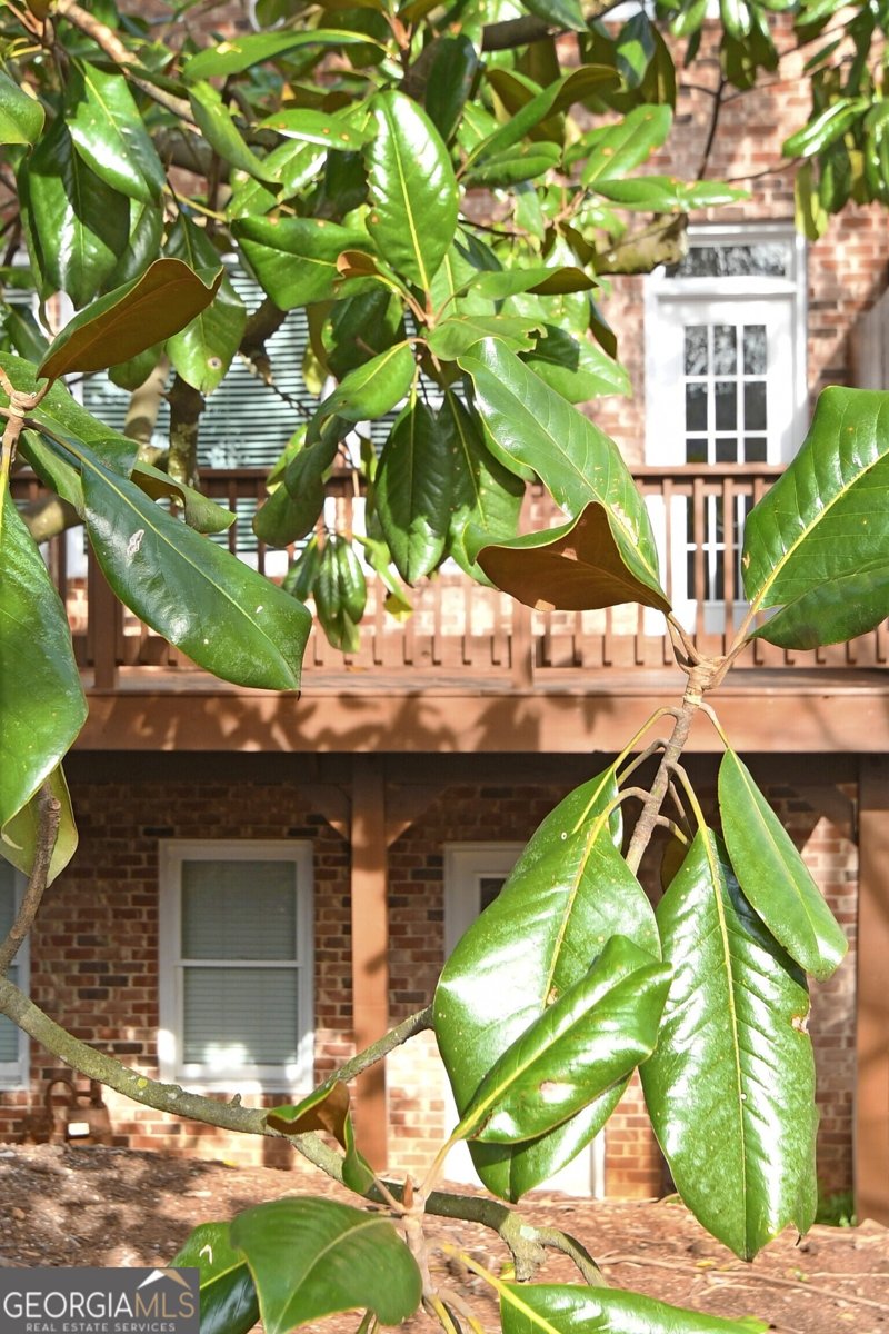 1507 Legacy Cove Lane Roswell - Photo 51