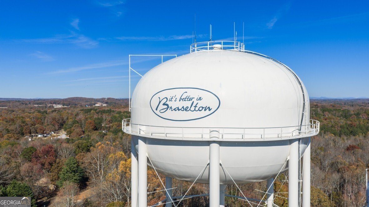 1331 Lincoln Lane Braselton - Photo 39