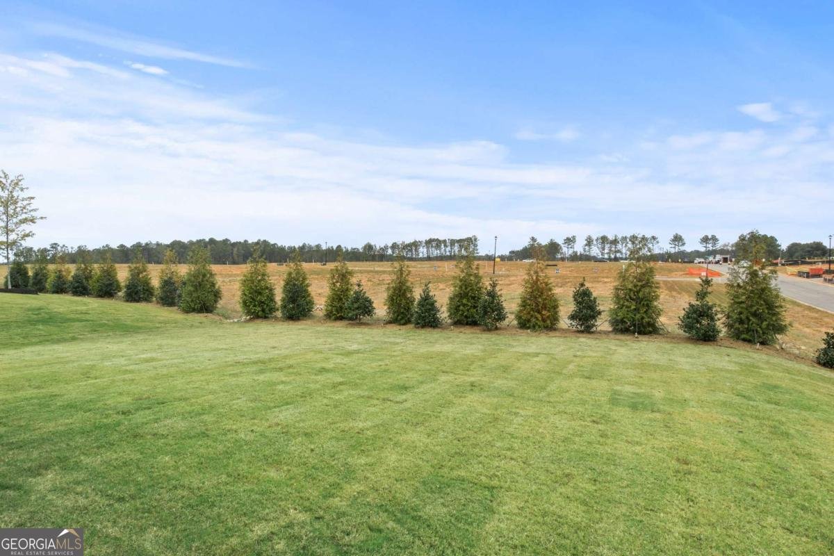 132 AJ Welch Jr Way Mcdonough - Photo 38