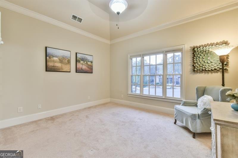 2720 Wildflower Way Hoschton - Photo 44