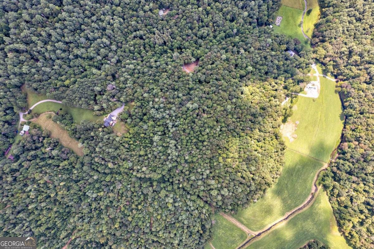 312 Charles Road Ellijay - Photo 61