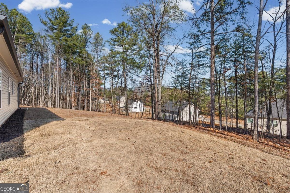 2522 Honeysuckle Lane Temple - Photo 30