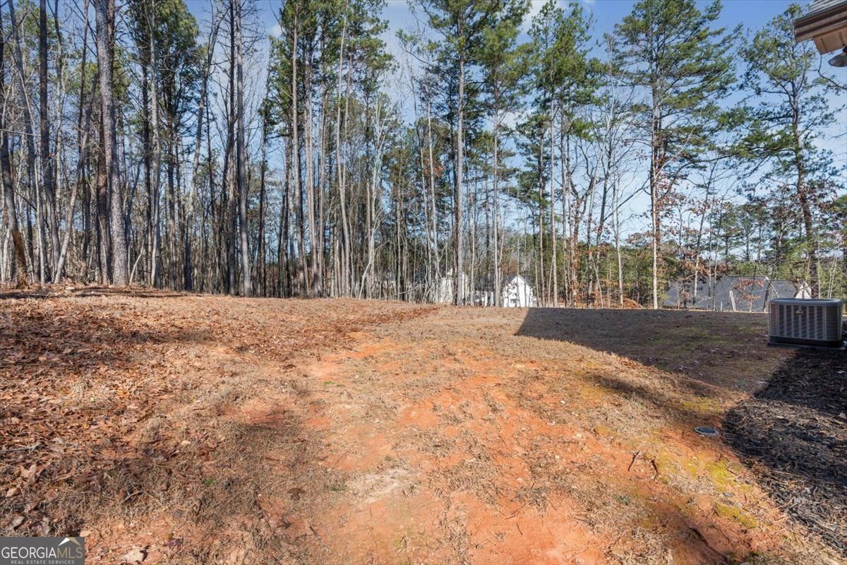 2522 Honeysuckle Lane Temple - Photo 34