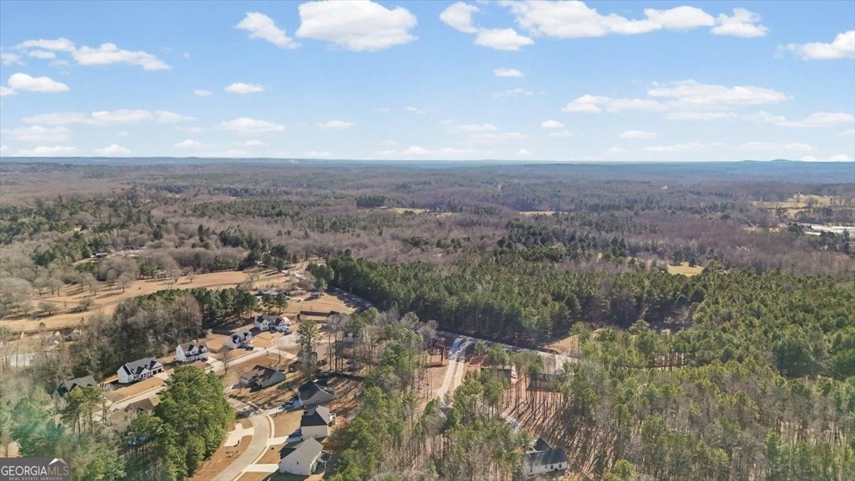 2522 Honeysuckle Lane Temple - Photo 42