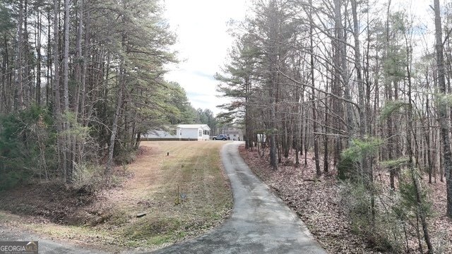 306 Shahan Lane La Fayette - Photo 36