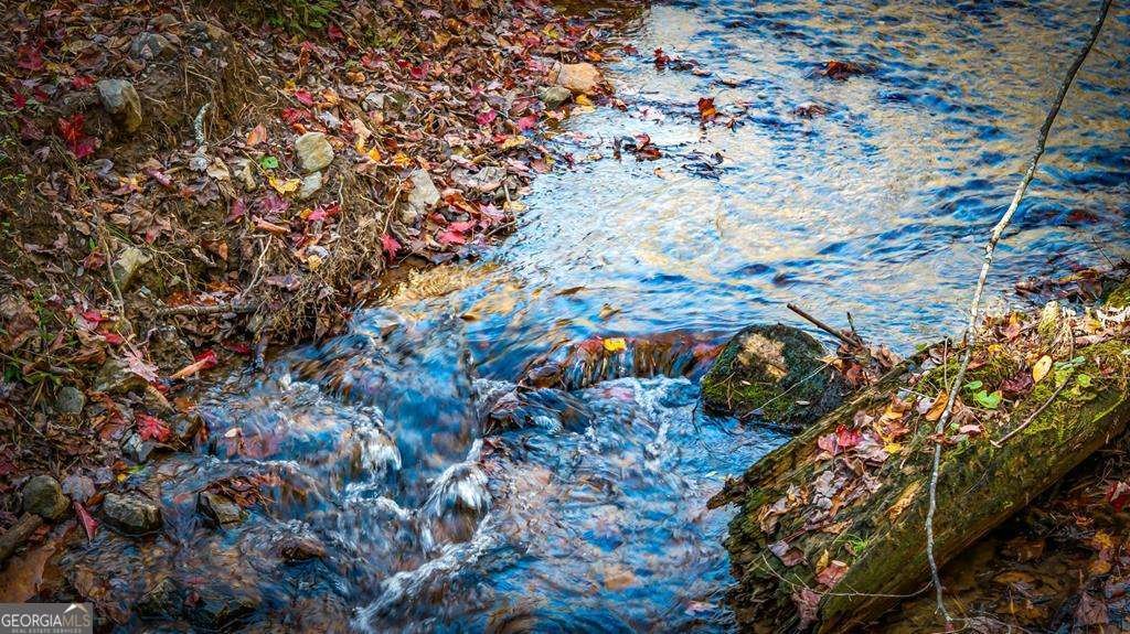 212 Dogpatch Lane Blue Ridge - Photo 10