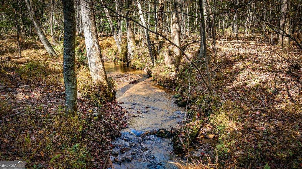 212 Dogpatch Lane Blue Ridge - Photo 11