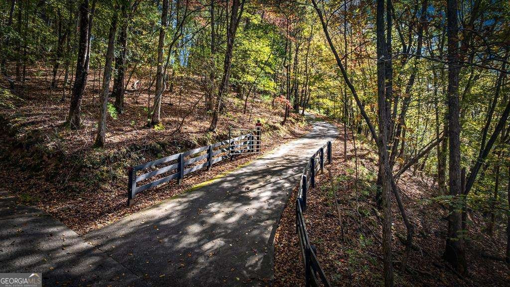 212 Dogpatch Lane Blue Ridge - Photo 37