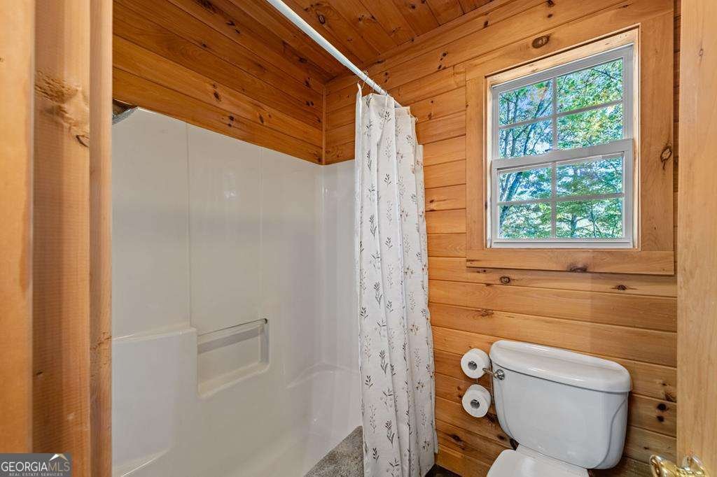 212 Dogpatch Lane Blue Ridge - Photo 50