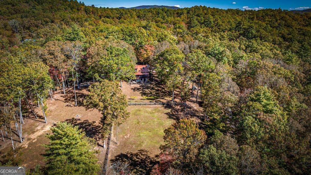 212 Dogpatch Lane Blue Ridge - Photo 60