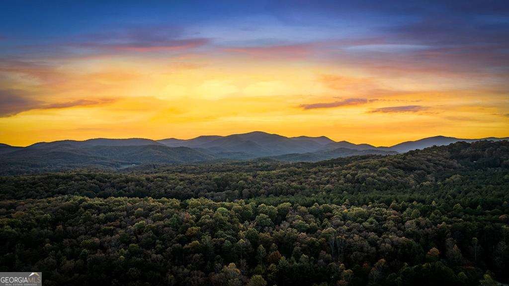 212 Dogpatch Lane Blue Ridge - Photo 65