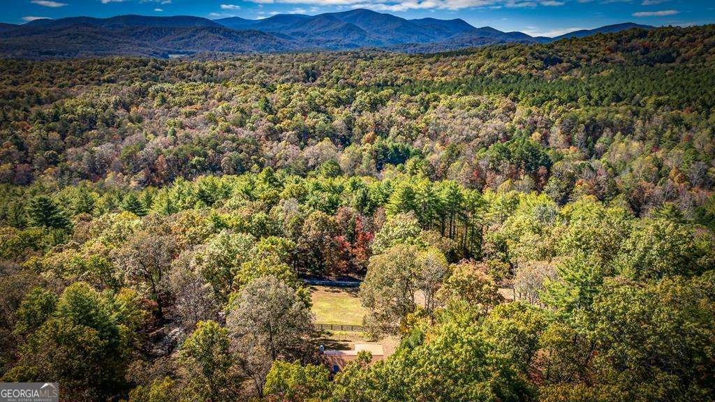 212 Dogpatch Lane Blue Ridge - Photo 66