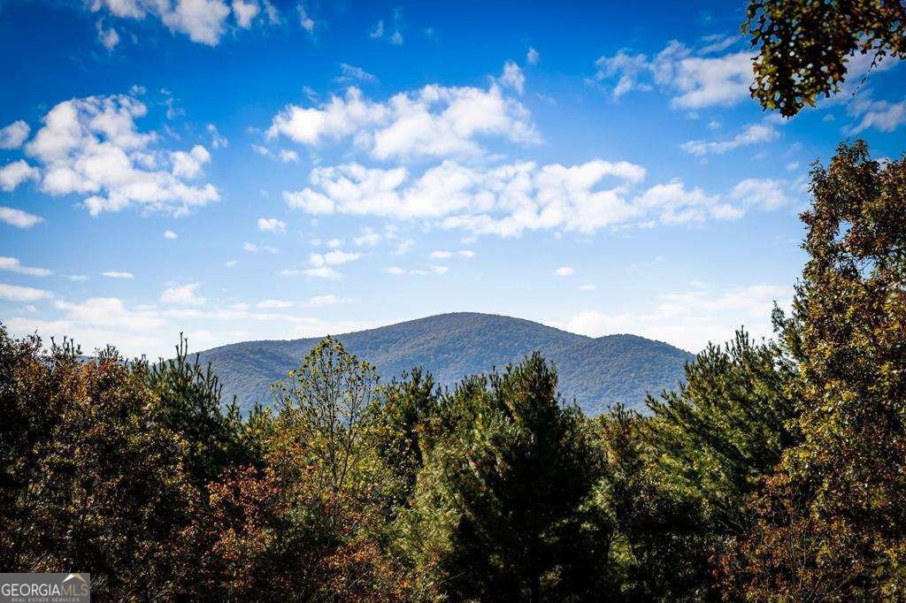 212 Dogpatch Lane Blue Ridge - Photo 68