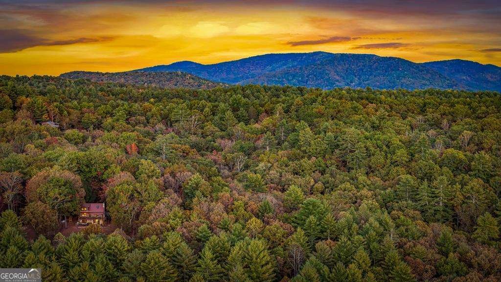 212 Dogpatch Lane Blue Ridge - Photo 8