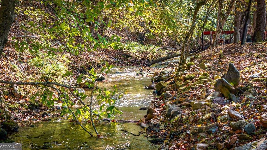 212 Dogpatch Lane Blue Ridge - Photo 9