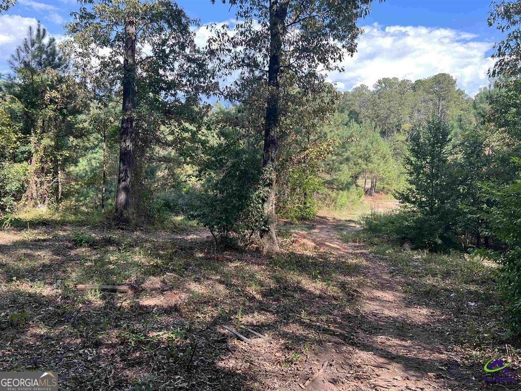 125 Bunkers Trail Warner Robins - Photo 80