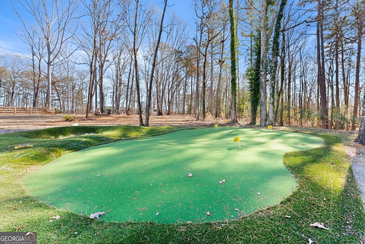 84 Martha Ann Avenue Winder - Photo 41