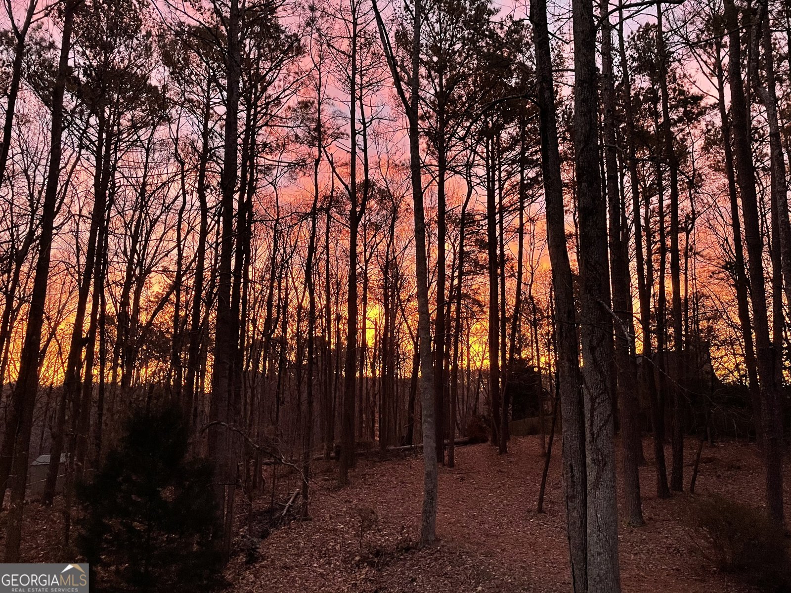 600 Hickory Creek Lane Woodstock - Photo 35