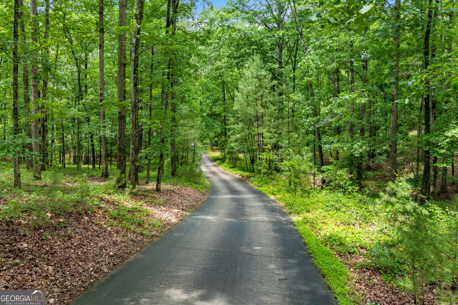 6020 Cochran Mill Road Chattahoochee Hills - Photo 43