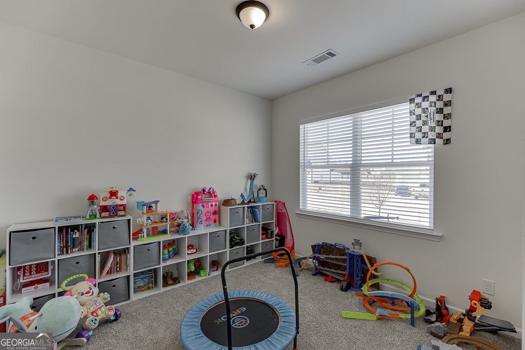 1324 Honeysuckle Lane Hoschton - Photo 32