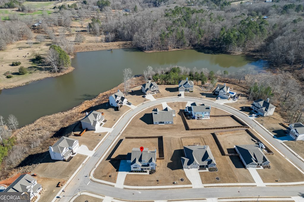 1324 Honeysuckle Lane Hoschton - Photo 61