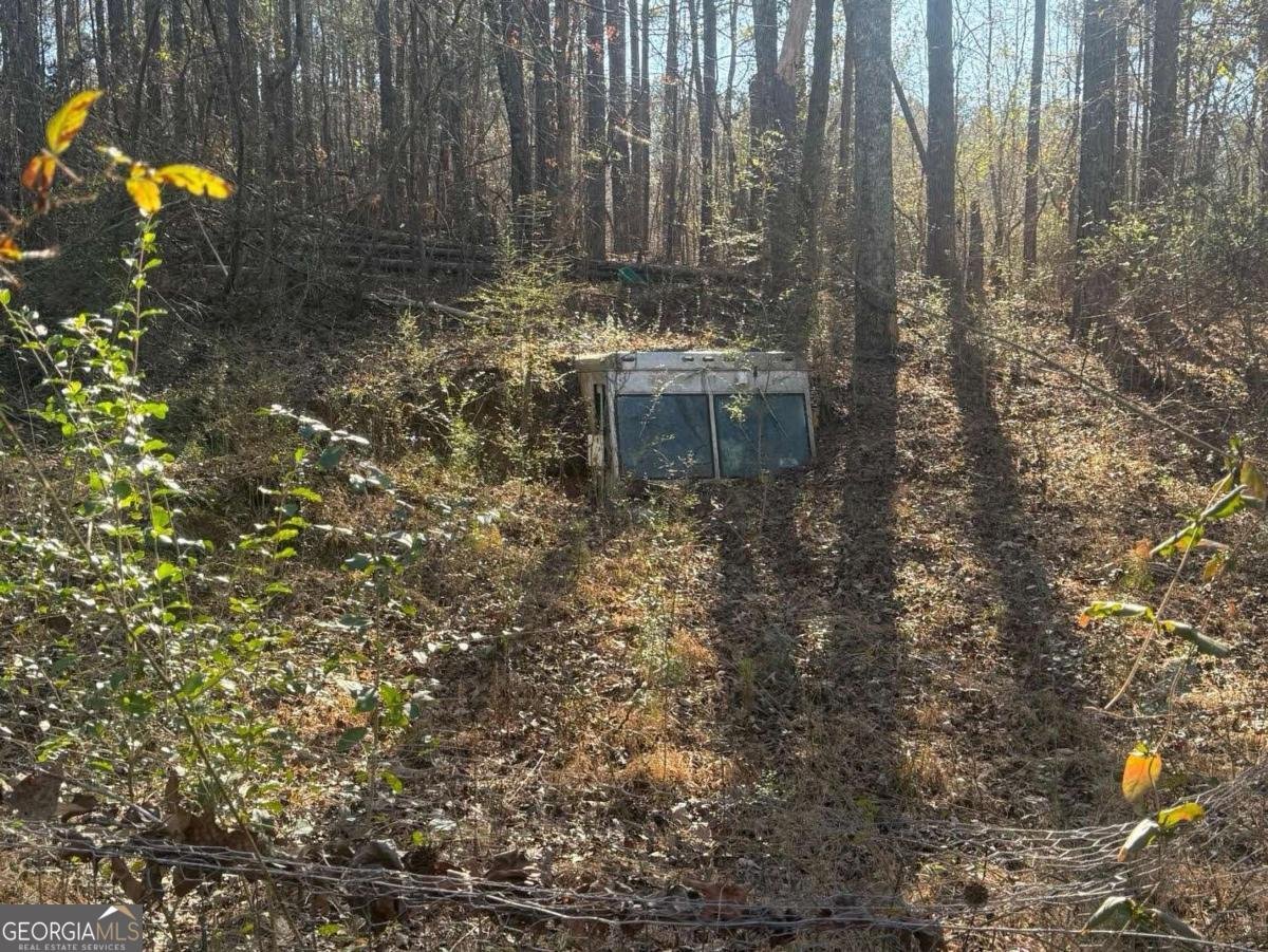 95 Shiloh Church Road Carrollton - Photo 22