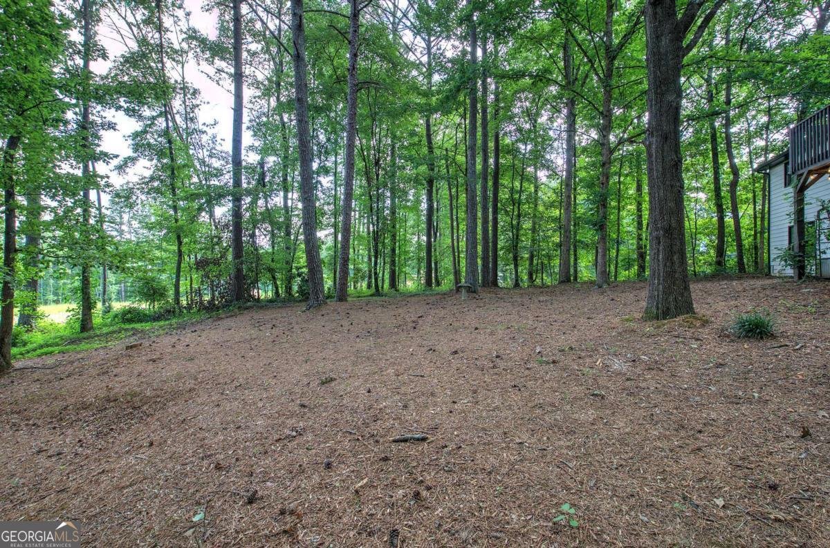 17 Ridge Drive Cartersville - Photo 36