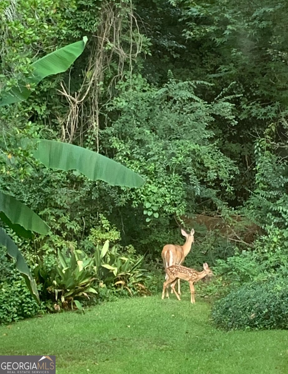 605 Wesleyan Drive Macon - Photo 41