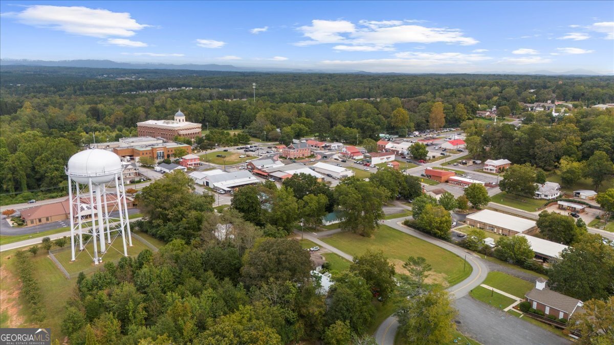 93 Maple Trail Dawsonville - Photo 36