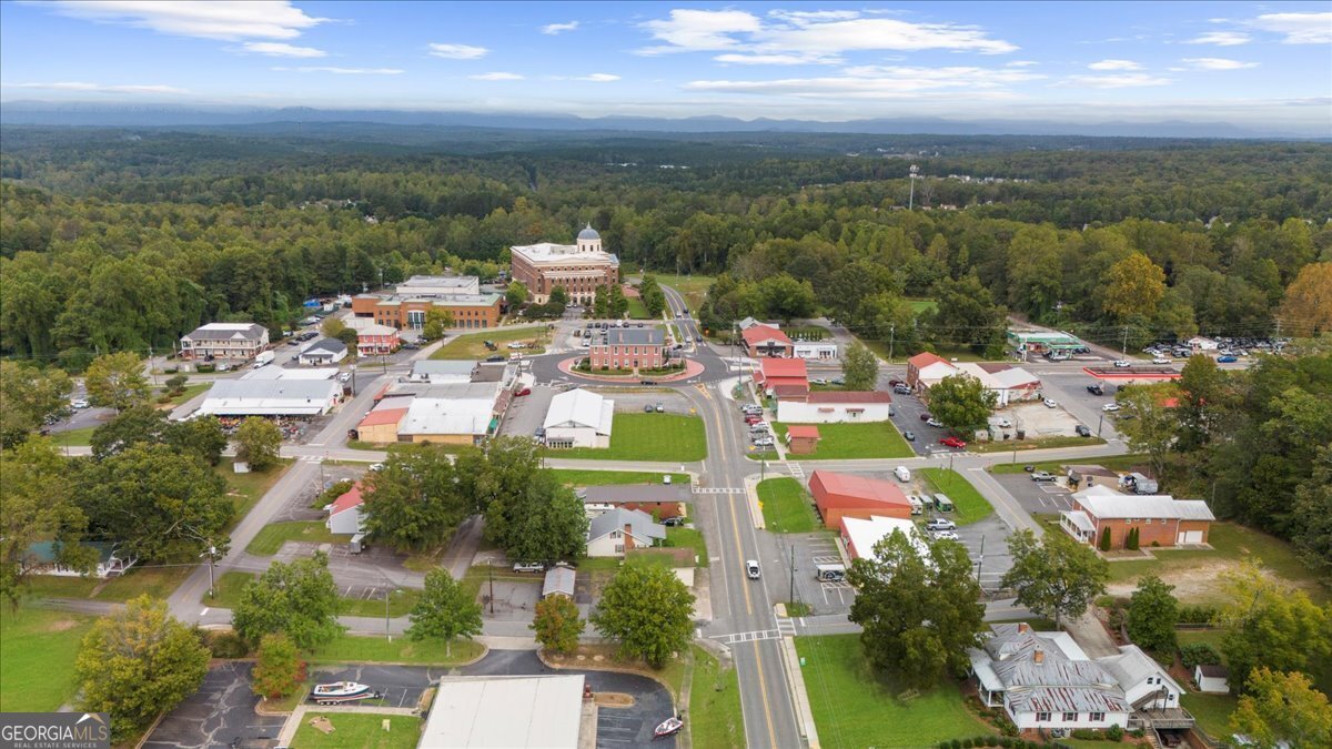 93 Maple Trail Dawsonville - Photo 37