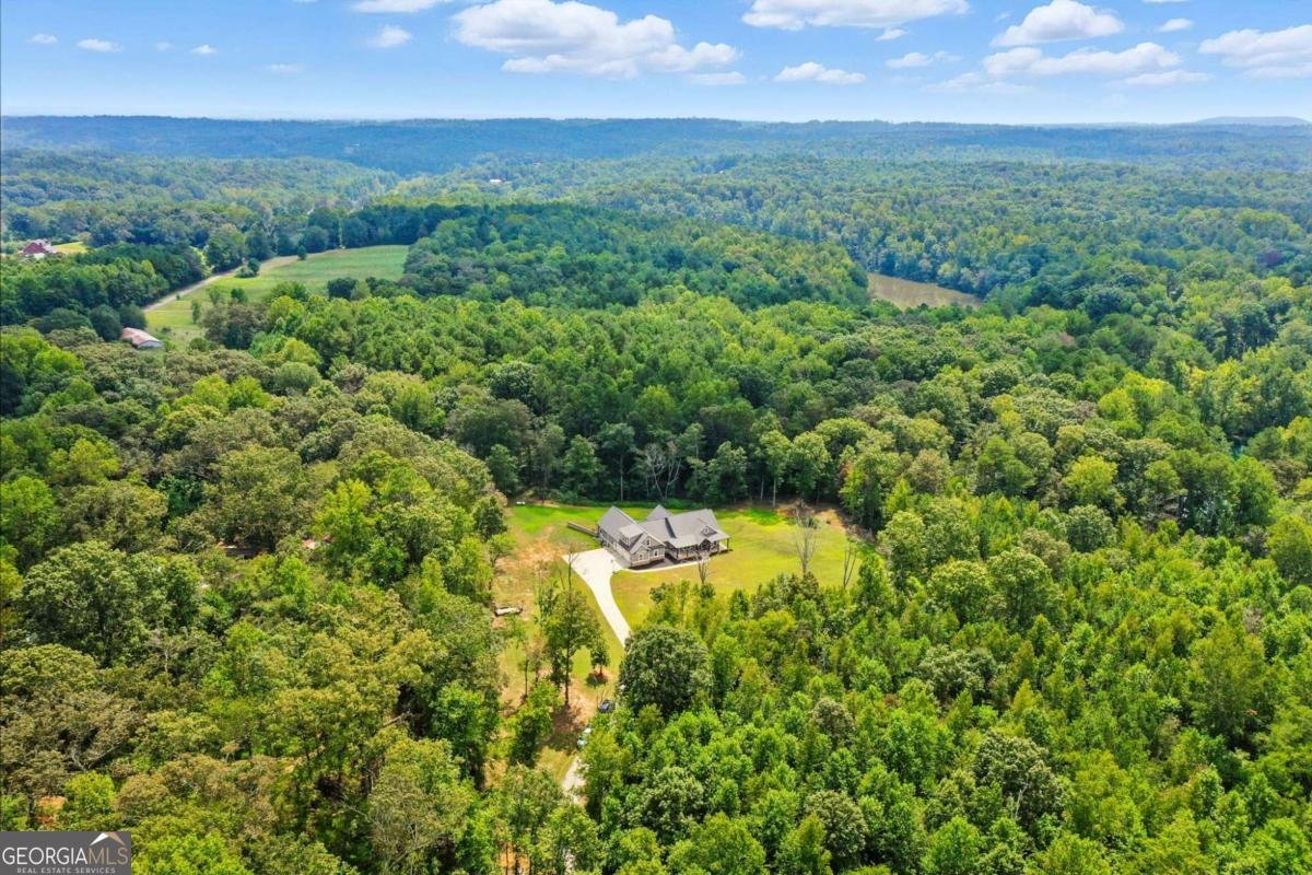 14430 Fincher Road Canton - Photo 8