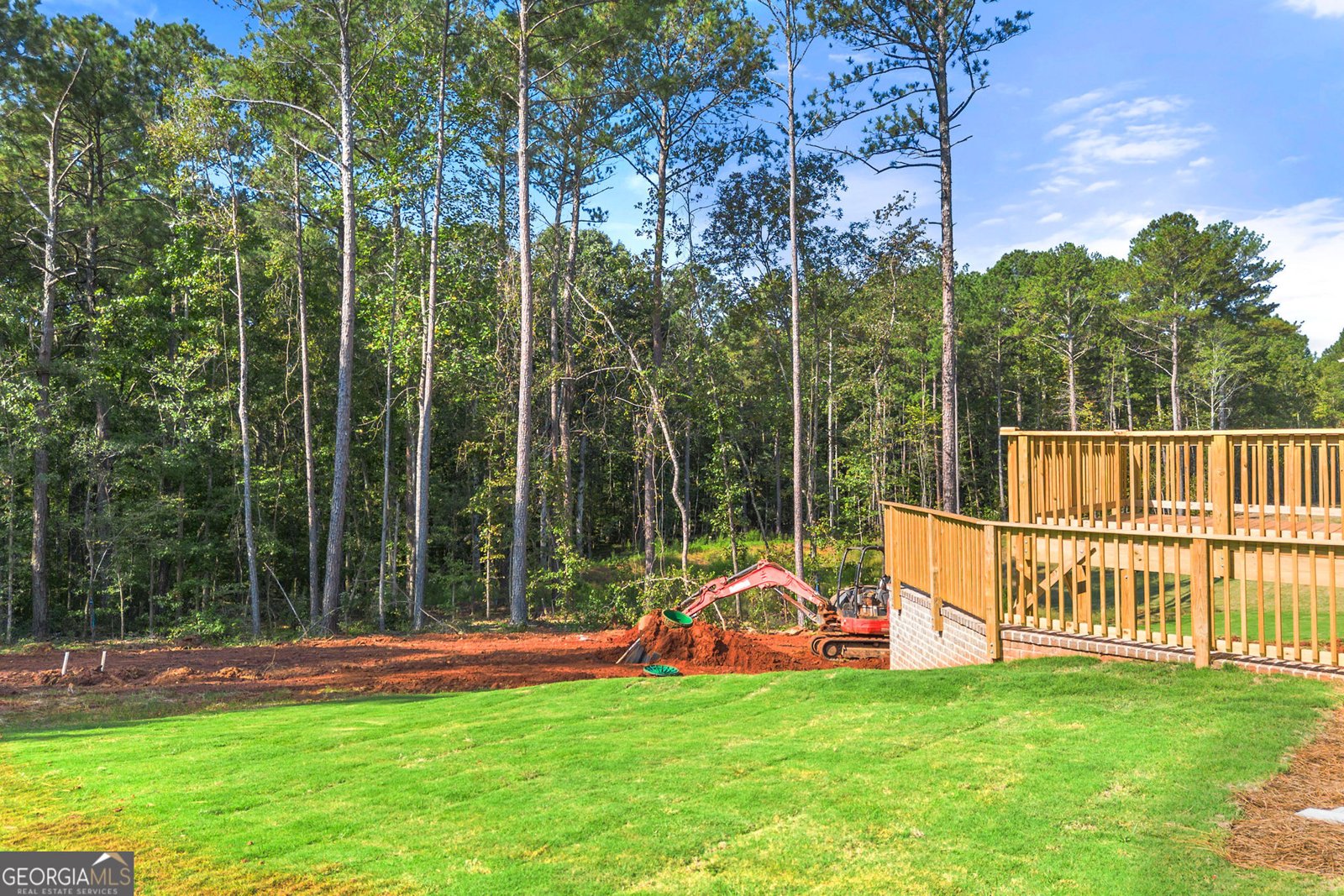 247 Lotus Lane Covington - Photo 34