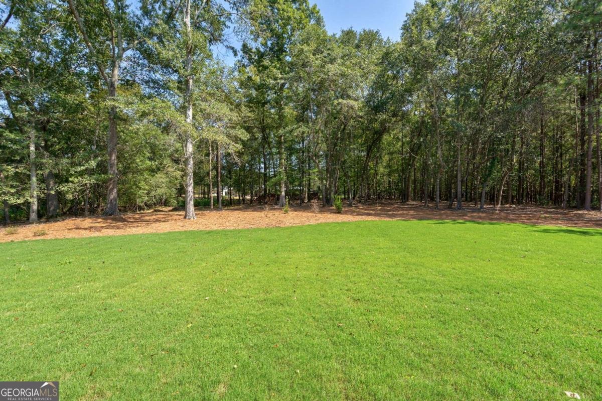 1763 Olympus Court Athens - Photo 34