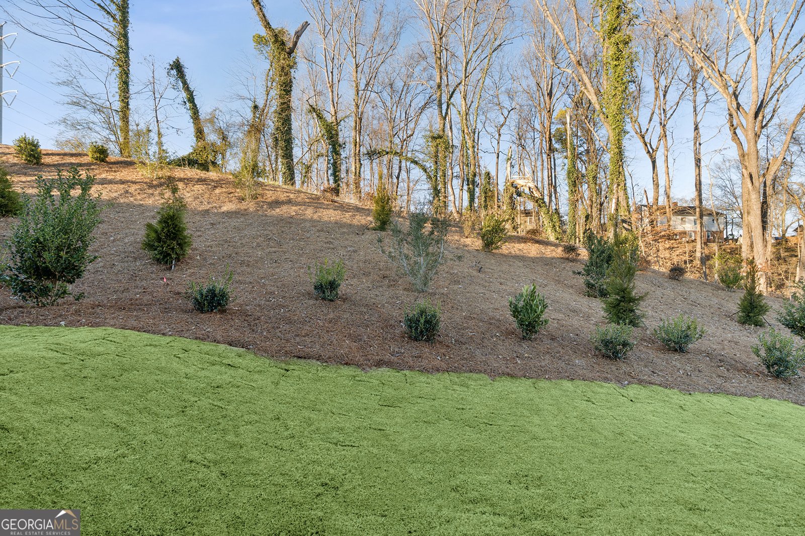 195 Redbud Road Canton - Photo 14