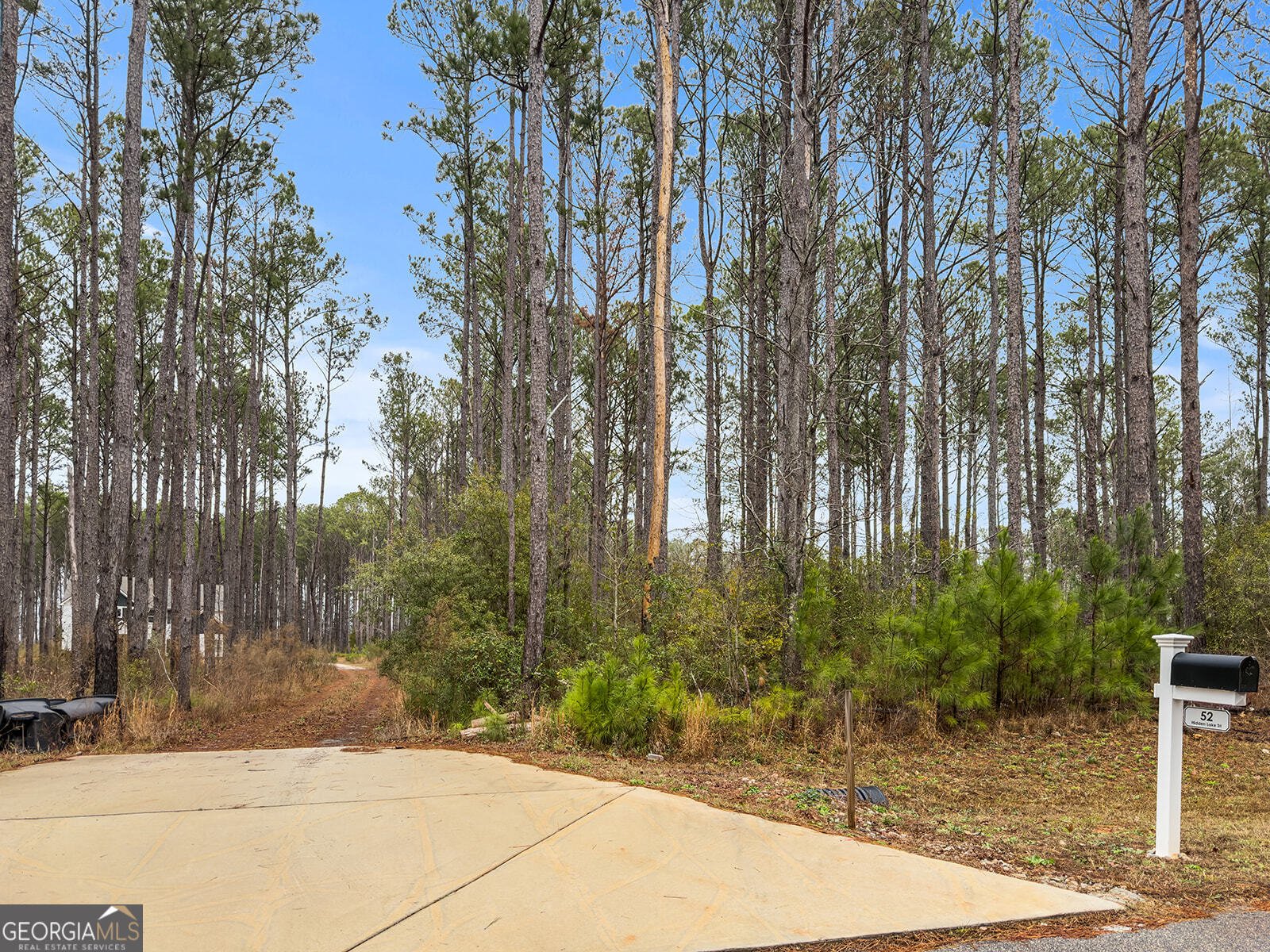 52 Hidden Lake Trail Pine Mountain - Photo 26