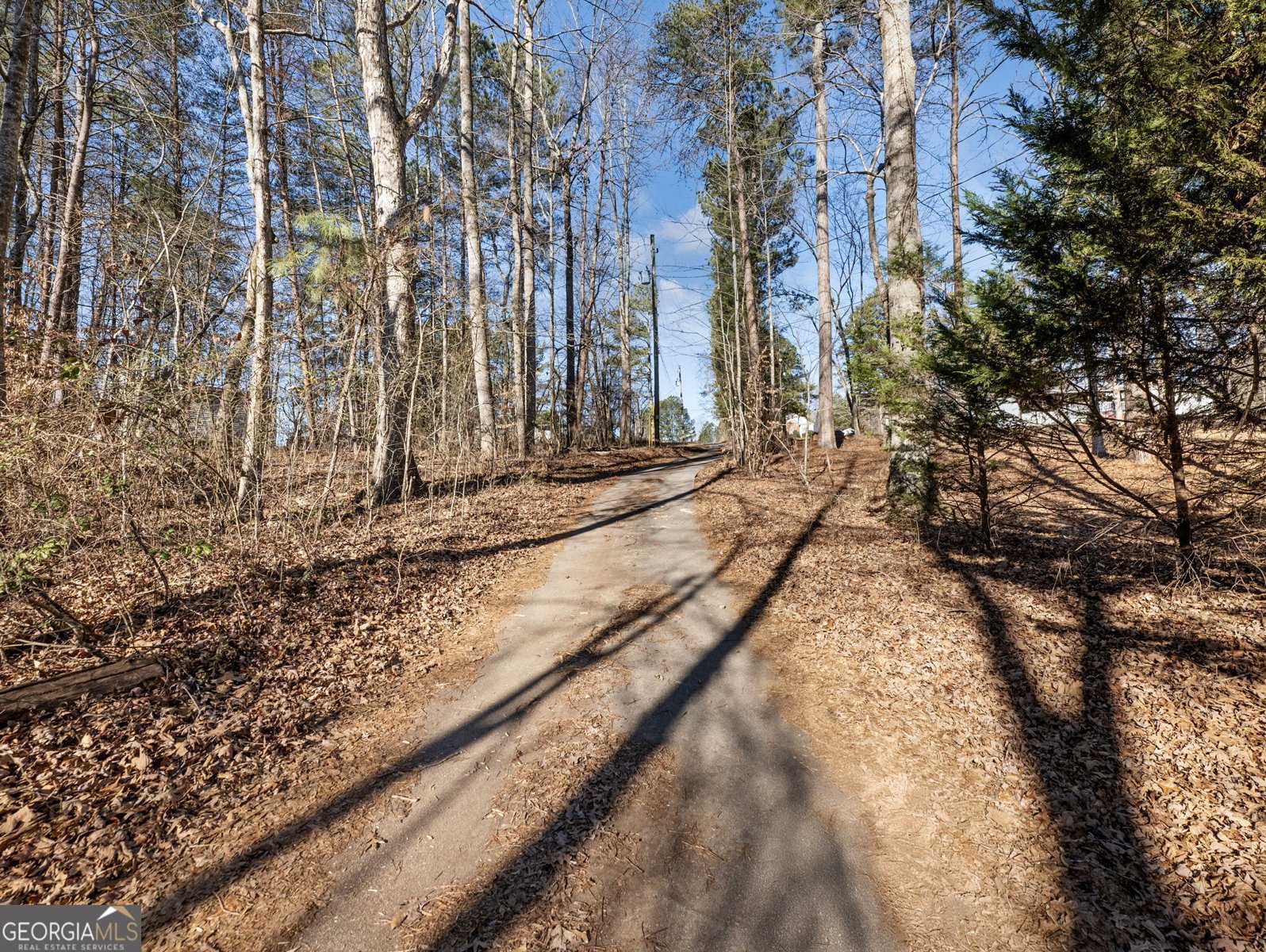 7389 Williams Road Flowery Branch - Photo 57