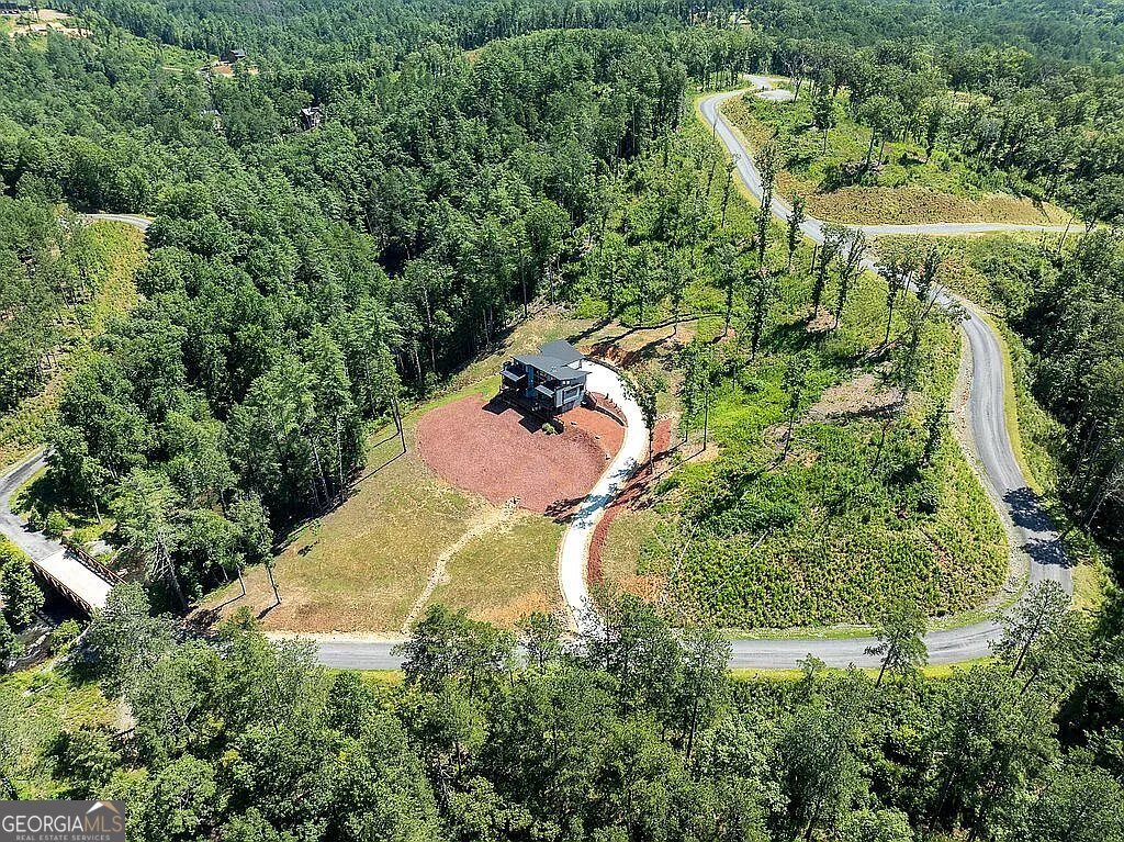 1281 High River Crossing Ellijay - Photo 49