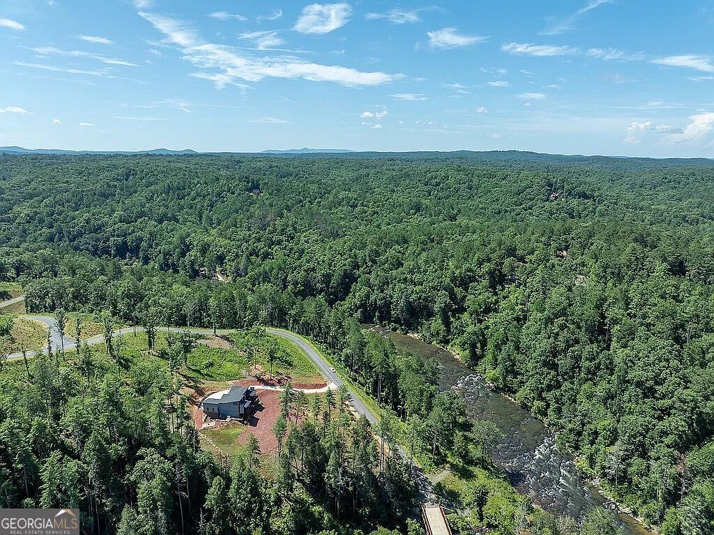 1281 High River Crossing Ellijay - Photo 60