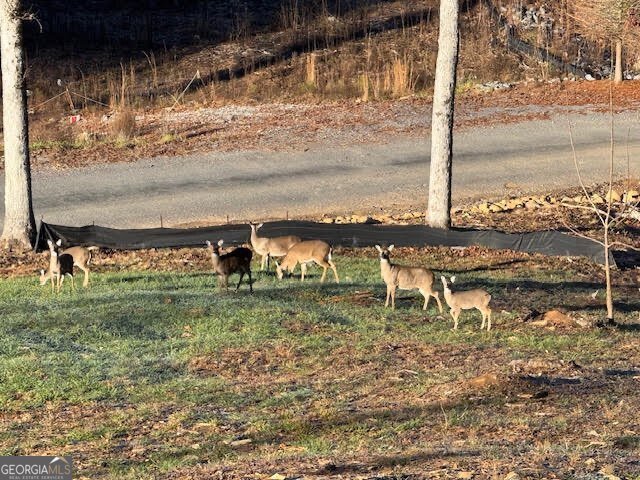 1281 High River Crossing Ellijay - Photo 66