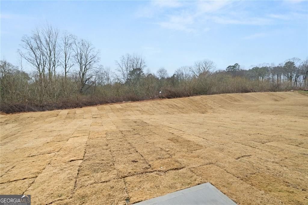 782 Brooke View Drive Canton - Photo 53