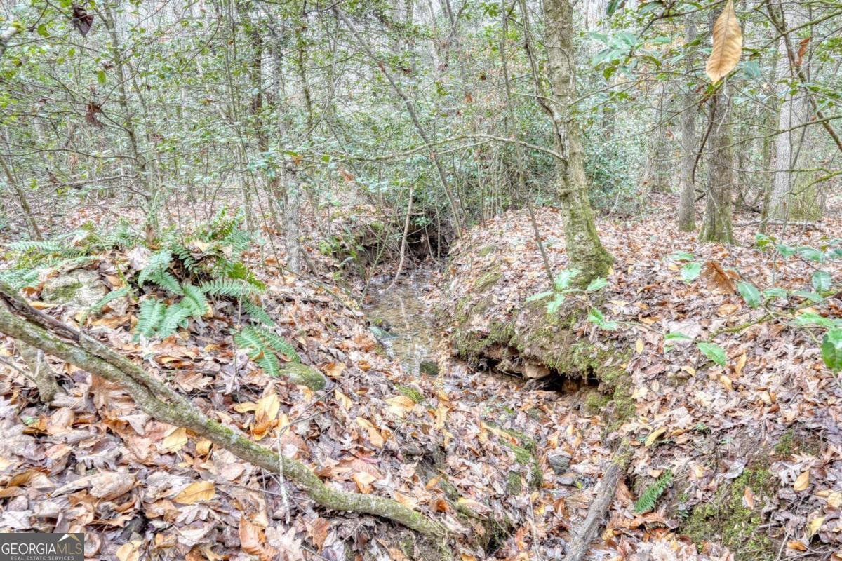 357 Nottely Woods Road E Blairsville - Photo 44