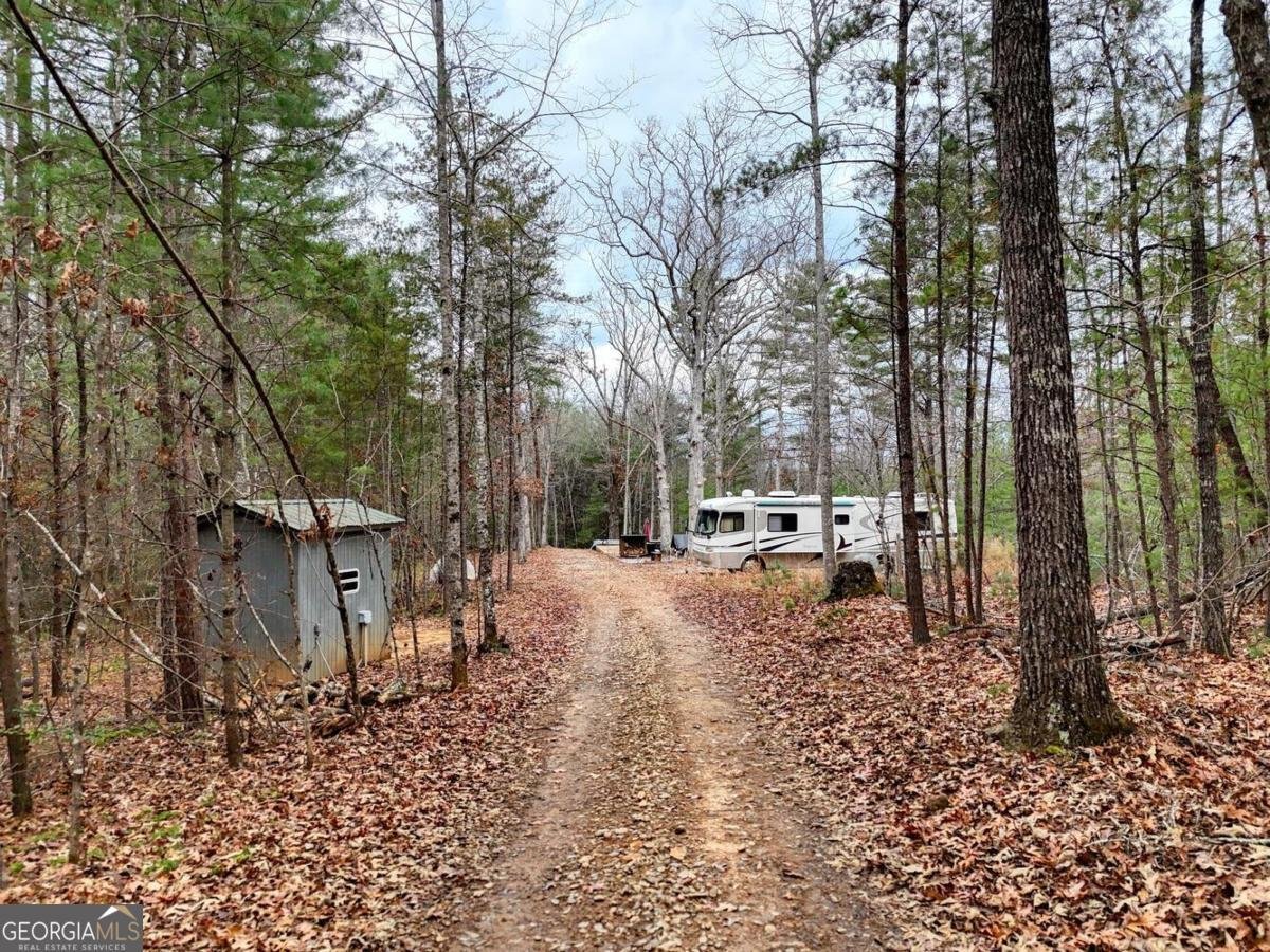 357 Nottely Woods Road E Blairsville - Photo 49