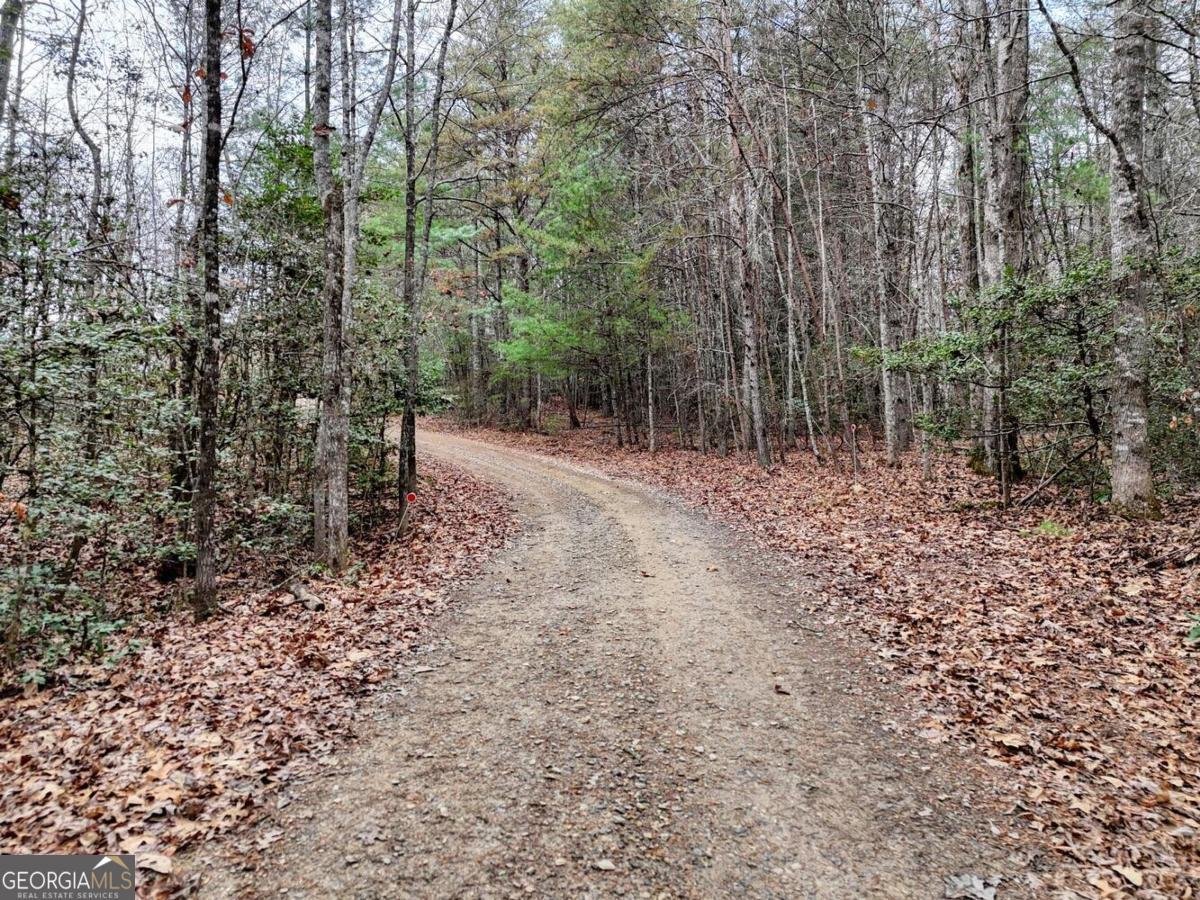 357 Nottely Woods Road E Blairsville - Photo 50