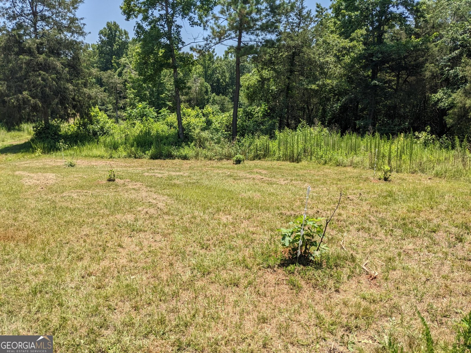 1949 Highway 29 Danielsville - Photo 21