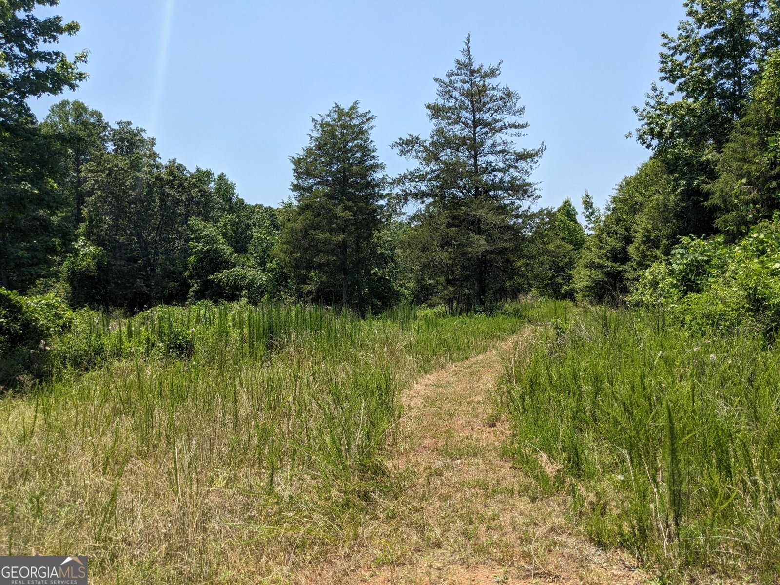 1949 Highway 29 Danielsville - Photo 22