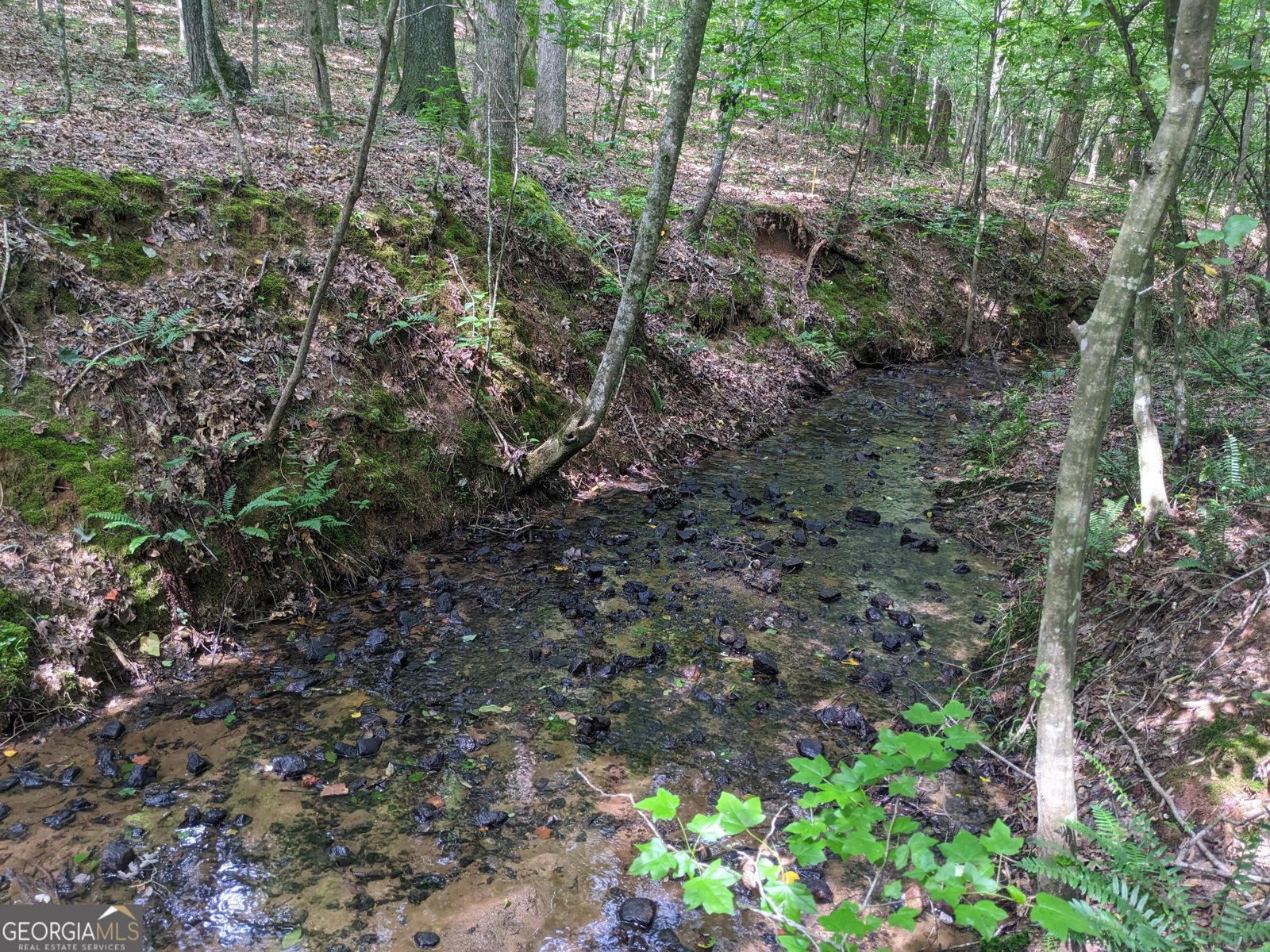 1949 Highway 29 Danielsville - Photo 24