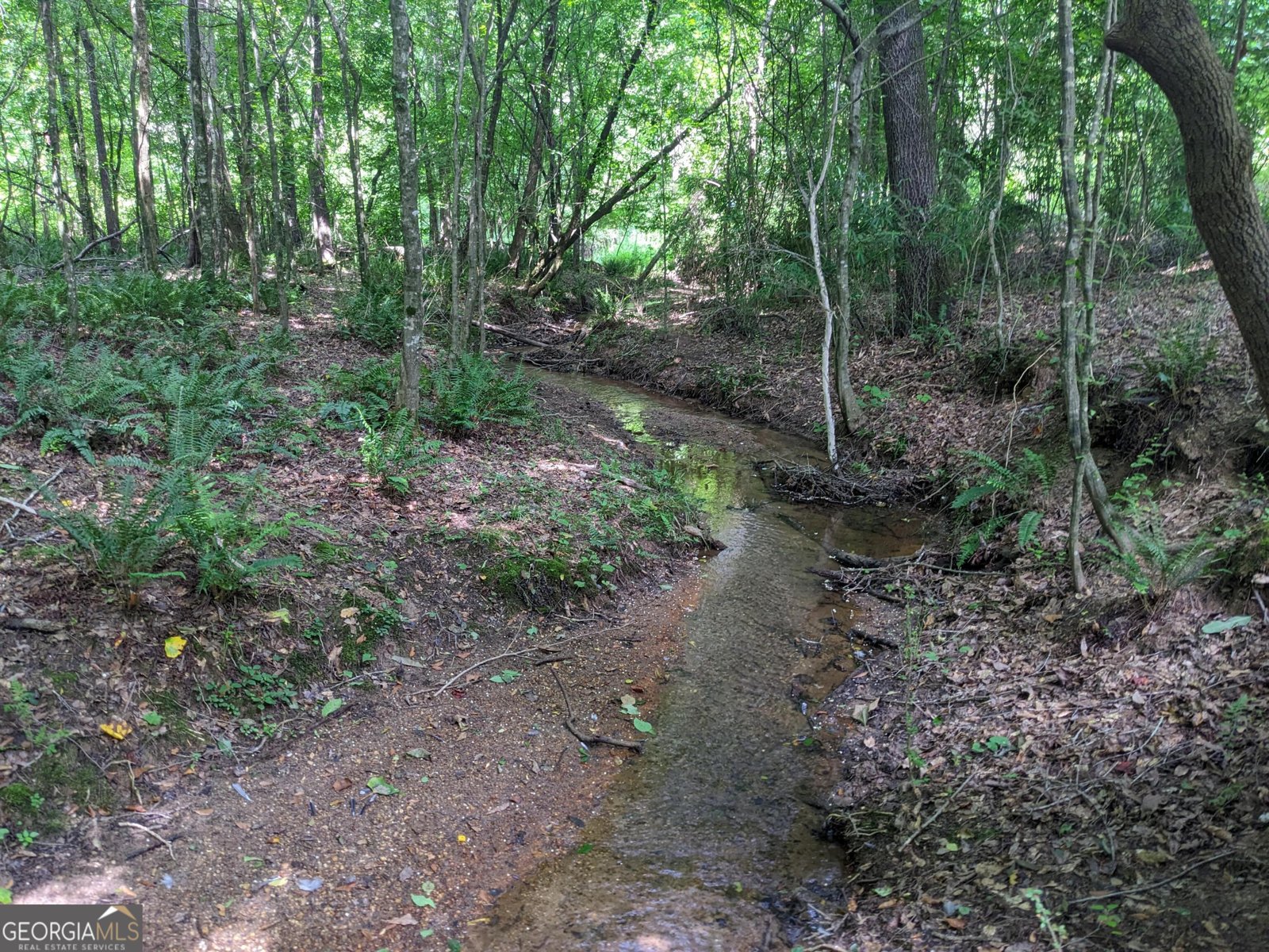 1949 Highway 29 Danielsville - Photo 25