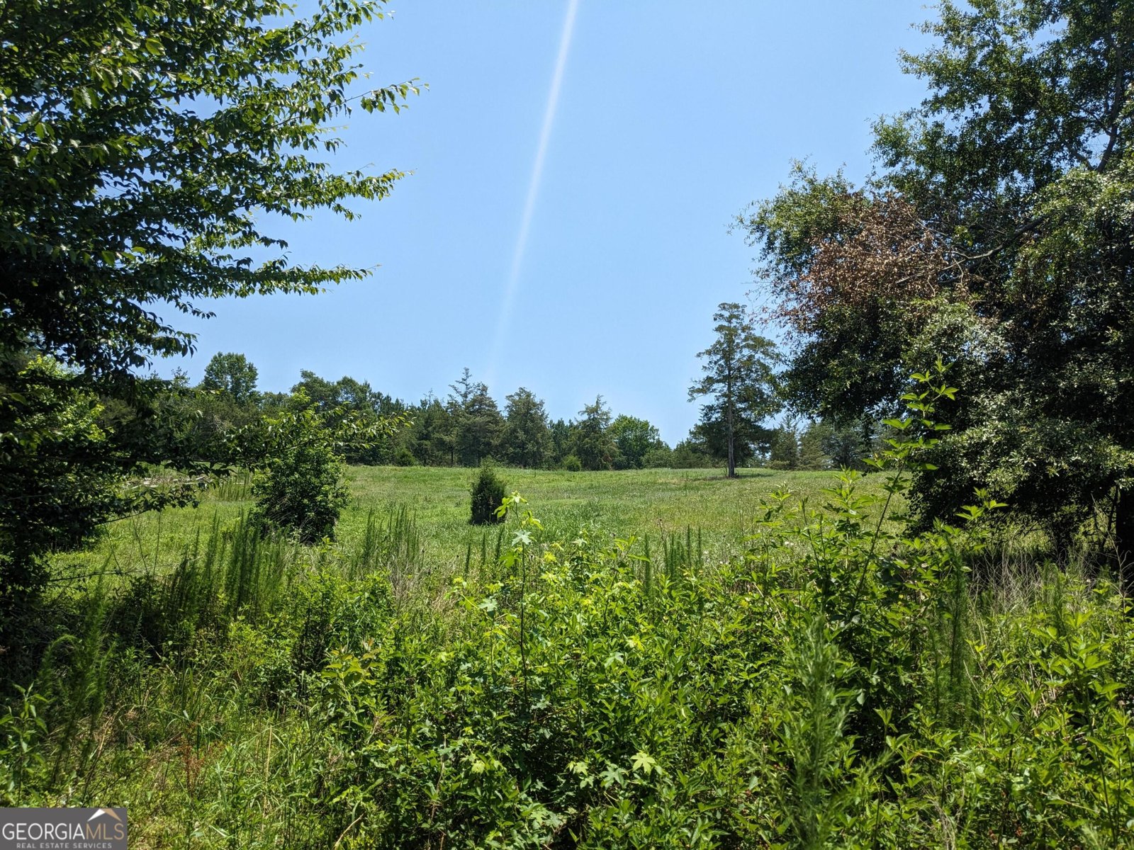 1949 Highway 29 Danielsville - Photo 26