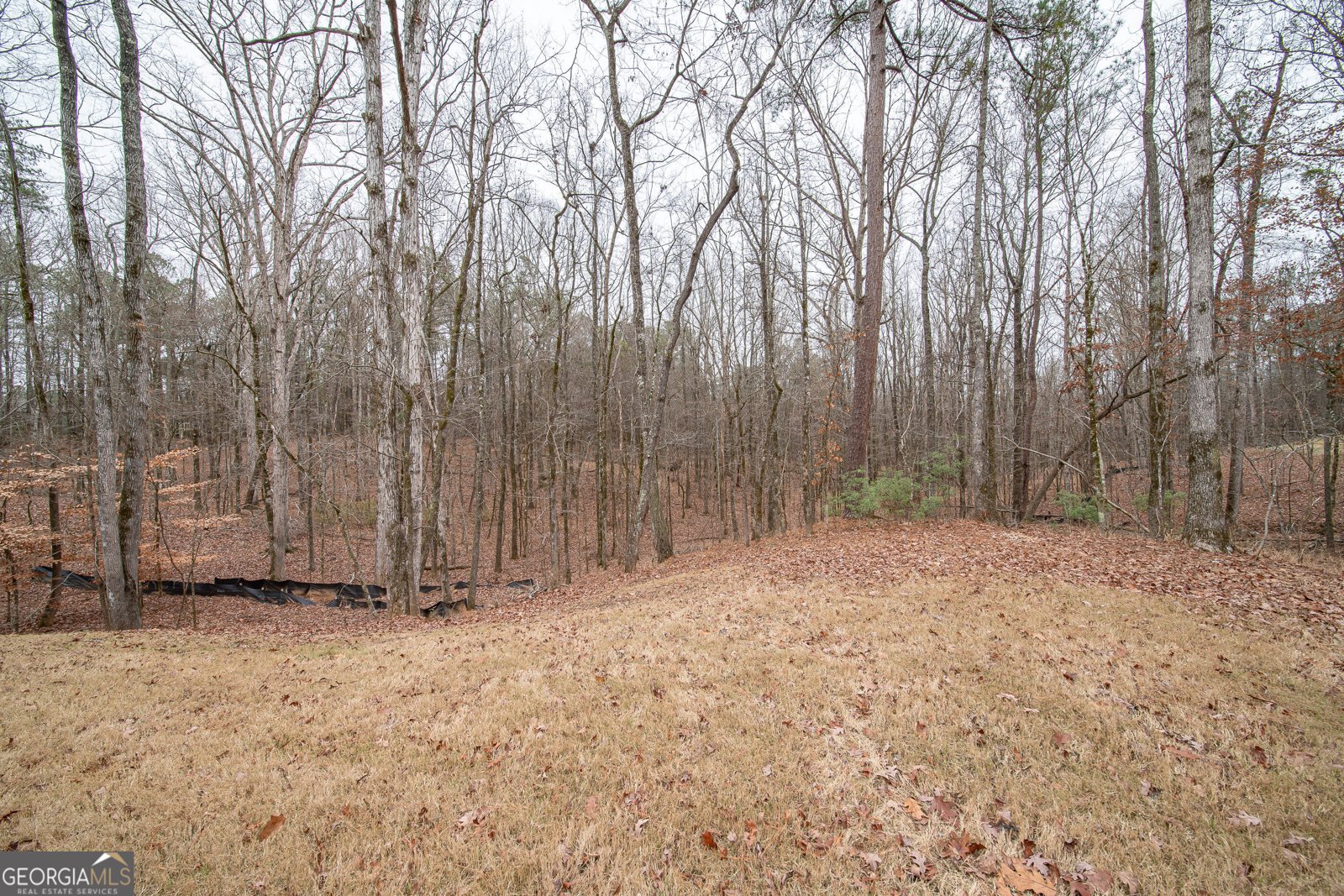 75 Ironwood Way Midland - Photo 59