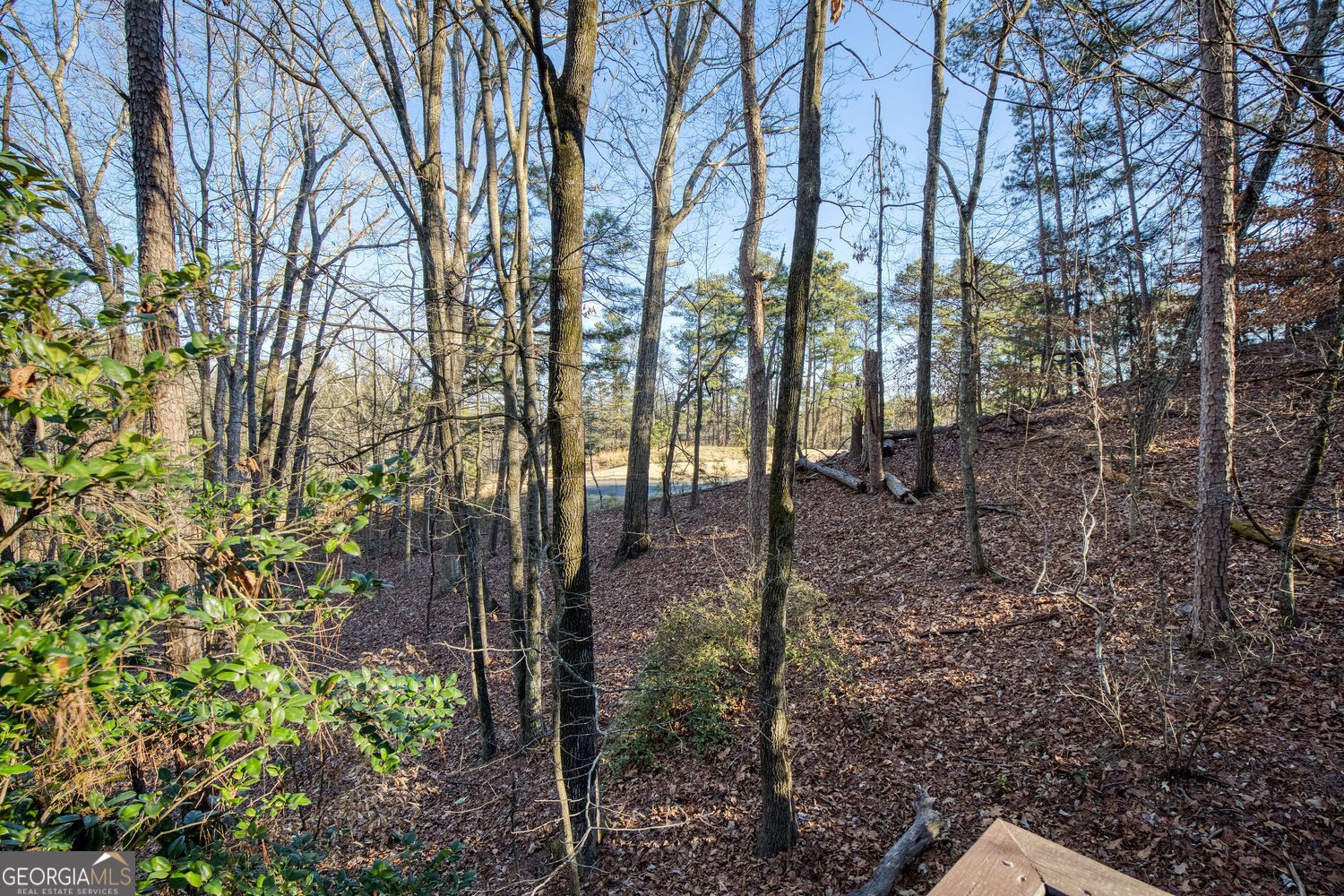 40 Mt Whitney Place Johns Creek - Photo 31